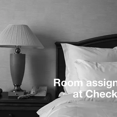 Mvr Suite Floor To Ceiling Wow In Every Room Miami • FL, United States